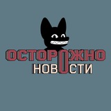 На экс-координатора “Штаба Навального”* в Костроме завели уголовное дело о &quotфейках" про ВС Р...