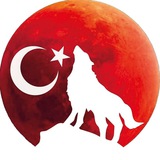 🇹🇷🇬🇧Состоялся телефонный разговор президента Турции Реджепа Тайипа Эрдогана и премьер-министра Велик...